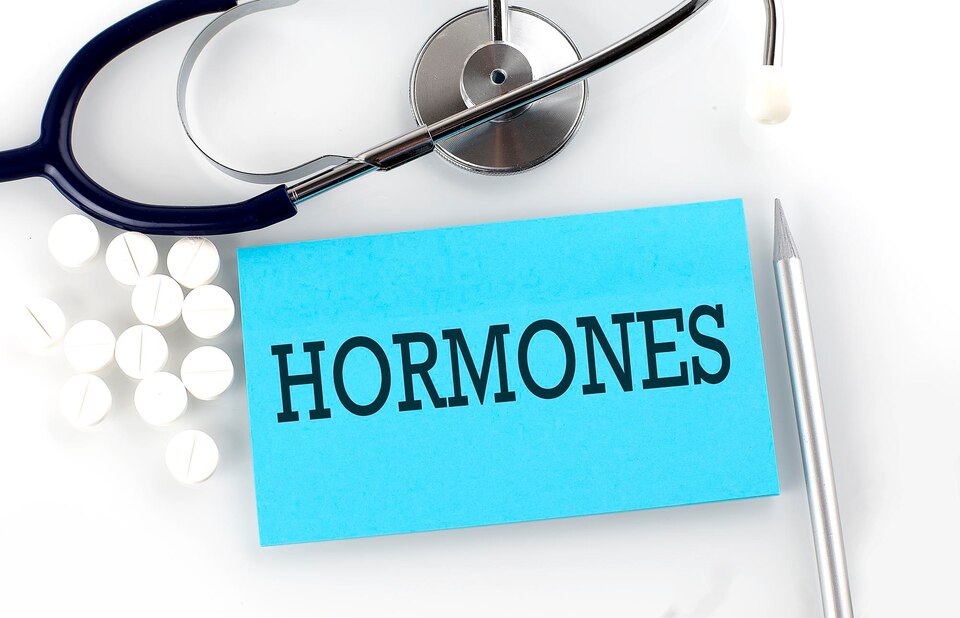 The Role Of Hormones In Weight Gain And Loss